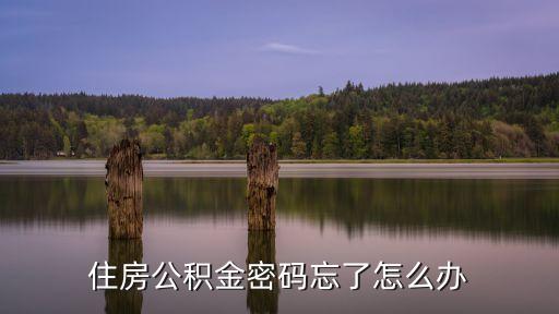 住房公積金密碼忘了怎么辦