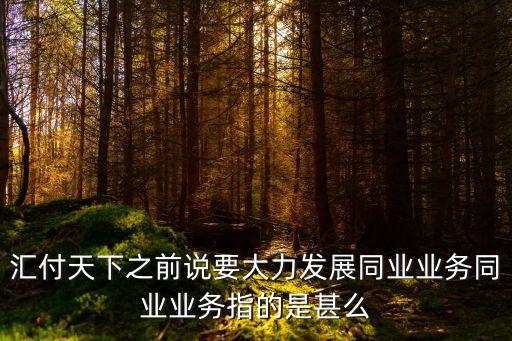 同業(yè)業(yè)務改革怎么寫，匯付天下之前說要大力發(fā)展同業(yè)業(yè)務同業(yè)業(yè)務指的是甚么