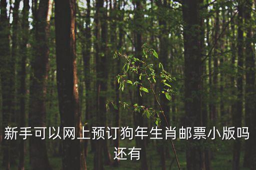 新手可以網(wǎng)上預(yù)訂狗年生肖郵票小版嗎還有