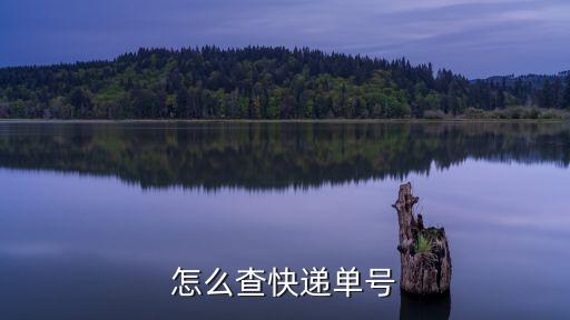 訂單號(hào)怎么看，怎么查快遞單號(hào)