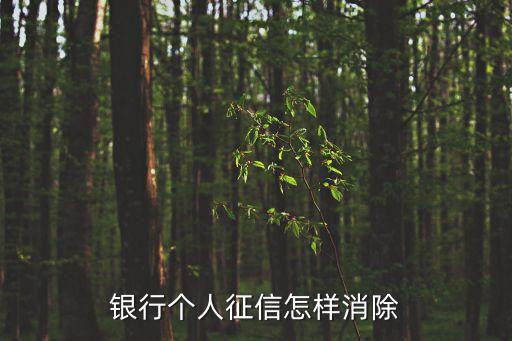 銀行個(gè)人征信怎樣消除
