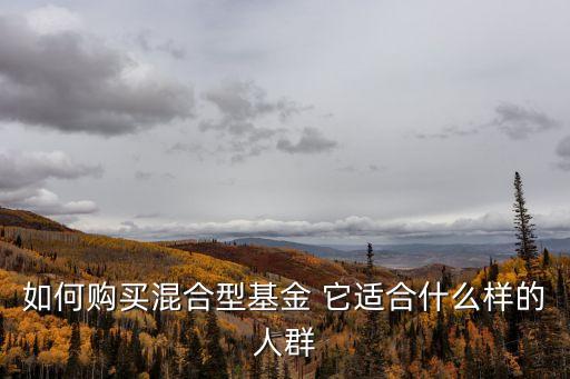 混合基金排名怎么購(gòu)買，基金怎么購(gòu)買啊