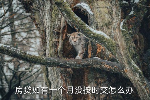 房貸一個月沒還怎么辦，房貸如有一個月沒按時交怎么辦