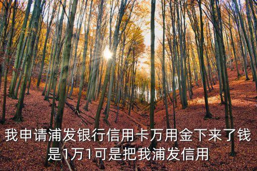 我申請(qǐng)浦發(fā)銀行信用卡萬用金下來了錢是1萬1可是把我浦發(fā)信用
