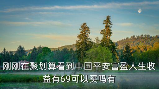 剛剛在聚劃算看到中國(guó)平安富盈人生收益有69可以買嗎有