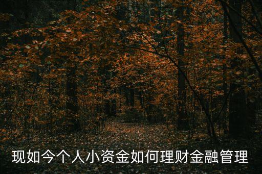 現(xiàn)如今個人小資金如何理財金融管理