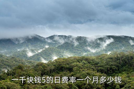 一千塊05費(fèi)率怎么算，一千塊錢5的日費(fèi)率一個(gè)月多少錢