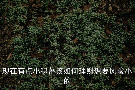 現(xiàn)在有點(diǎn)小積蓄該如何理財(cái)想要風(fēng)險(xiǎn)小的