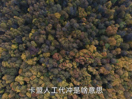 卡盟要怎么設(shè)置人工帶充，卡盟人工代沖是啥意思