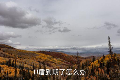 U盾到期了怎么辦
