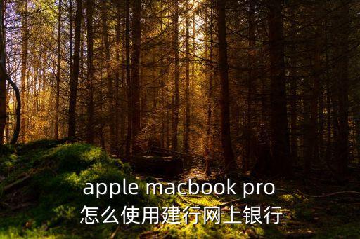 apple macbook pro 怎么使用建行網(wǎng)上銀行
