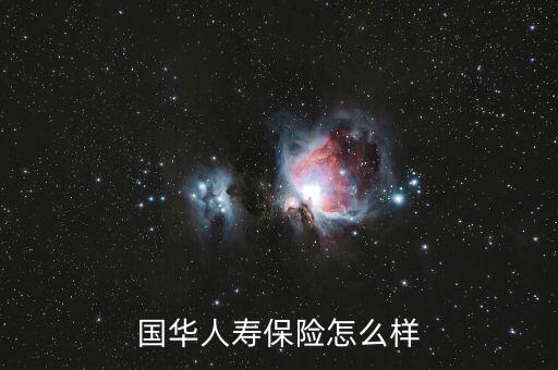 國(guó)華人壽保險(xiǎn)怎么樣
