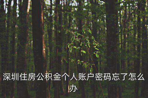 深圳住房公積金忘記密碼怎么辦，深圳住房公積金網(wǎng)上密碼忘記了怎么辦 需要咋弄