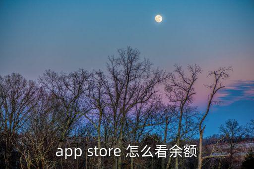 app store 怎么看余額
