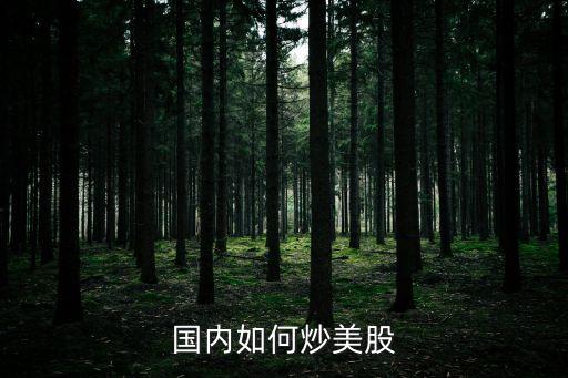 國內(nèi)如何炒美股