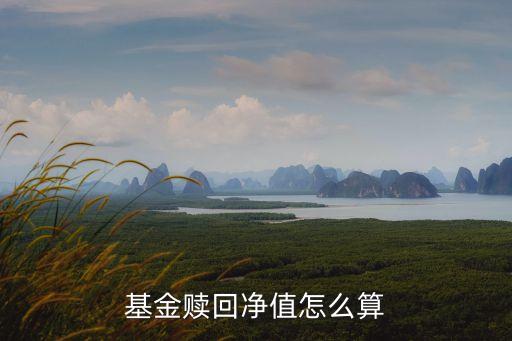 基金贖回 凈值怎么算，基金贖回時怎么計算累計凈值起什么作用