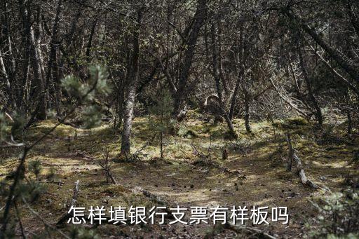 怎樣填銀行支票有樣板嗎