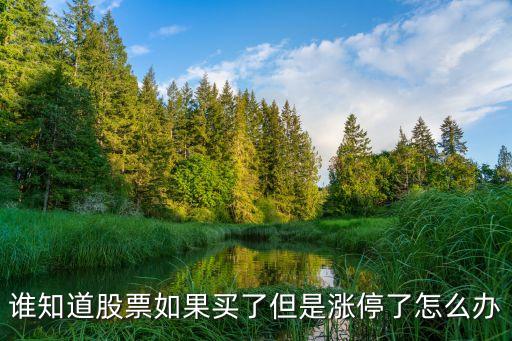 誰(shuí)知道股票如果買了但是漲停了怎么辦