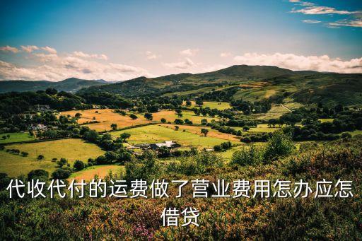 貨代運費貸 怎么申請，代收代付的運費做了營業(yè)費用怎辦應怎借貸