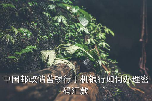 中國郵政儲蓄銀行手機(jī)銀行如何辦理密碼匯款