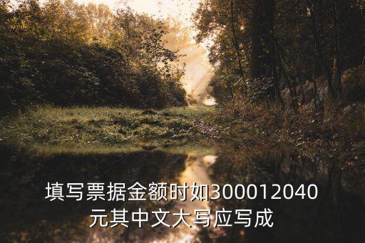 支票人名幣3000元怎么寫，填寫票據(jù)金額時(shí)如300012040元其中文大寫應(yīng)寫成