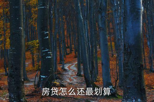 房貸怎么還最劃算