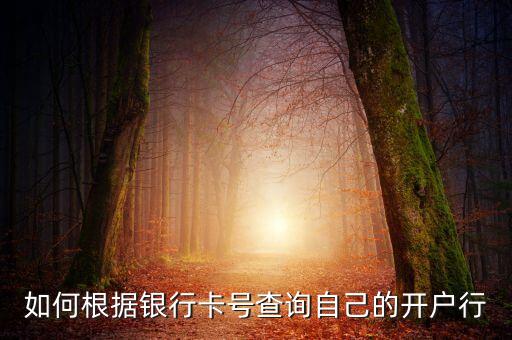 北京銀行開戶行怎么查，如何根據銀行卡號查詢自己的開戶行