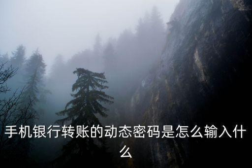 招行手機(jī)動(dòng)態(tài)密碼怎么修改，網(wǎng)上銀行手機(jī)動(dòng)態(tài)密碼