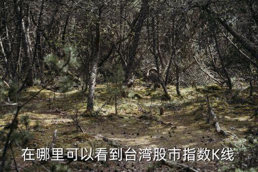 怎么看臺灣股市，如何查看臺灣股票行情