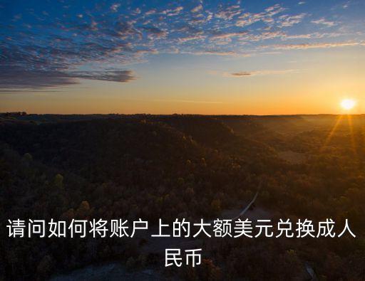 請(qǐng)問如何將賬戶上的大額美元兌換成人民幣