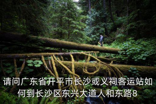 請(qǐng)問廣東省開平市長(zhǎng)沙或義祠客運(yùn)站如何到長(zhǎng)沙區(qū)東興大道人和東路8