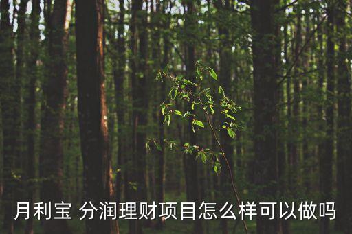 月利寶 分潤理財項目怎么樣可以做嗎