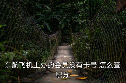 東航飛機上辦的會員沒有卡號 怎么查積分