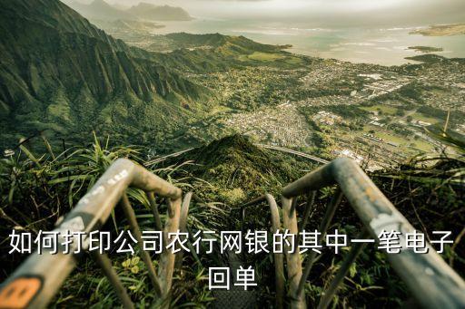如何打印公司農(nóng)行網(wǎng)銀的其中一筆電子回單