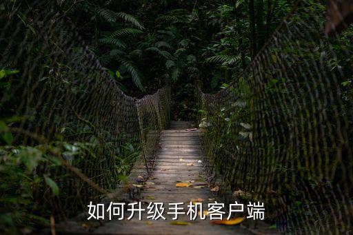 如何升級(jí)手機(jī)客戶(hù)端