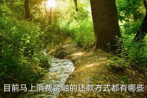馬上金融怎么還款，京東金融里面馬上消費(fèi)金融怎么還款