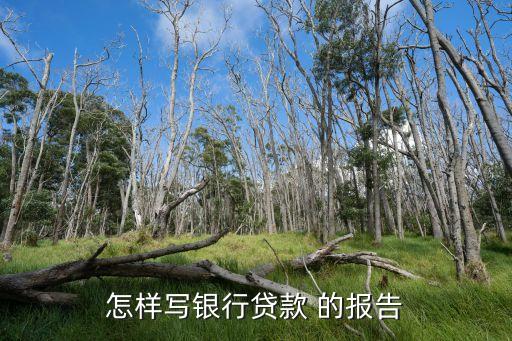 銀行信貸報(bào)告怎么寫，請(qǐng)問農(nóng)村信用社貸款報(bào)告如何寫