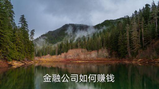 金融公司如何賺錢