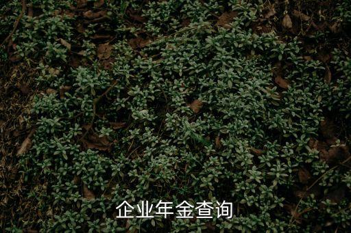企業(yè)年金查詢