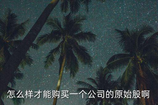 怎么樣才能購買一個公司的原始股啊