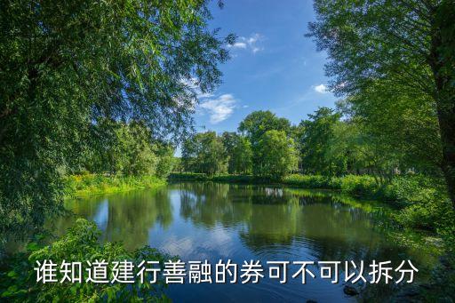 建行 善融券 怎么用，建設(shè)銀行善融券怎么用