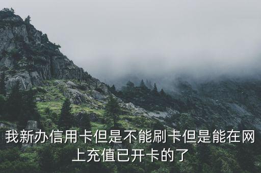 新辦的信用卡刷不了怎么辦，剛剛辦的信用卡激活了為什么不能刷卡呢