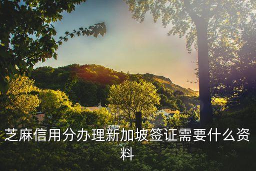 芝麻信用新加坡怎么弄，芝麻信用700分以上怎么辦新加坡簽證