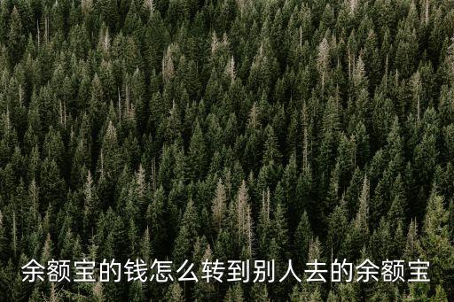 余額寶的錢怎么轉(zhuǎn)到別人去的余額寶