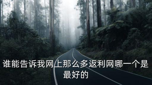 網(wǎng)上的分利網(wǎng)怎么樣，返利網(wǎng)淘寶好不好返利網(wǎng) 淘寶怎么樣