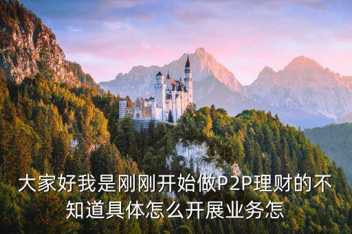 正規(guī)p2p怎么做，大家好我是剛剛開始做P2P理財(cái)?shù)牟恢谰唧w怎么開展業(yè)務(wù)怎