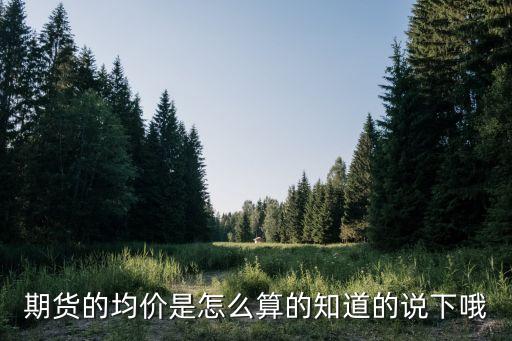 期貨的均價是怎么算的知道的說下哦