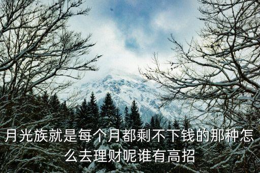 每個(gè)月都沒存款該怎么買貨幣基金，貨幣基金該如何買