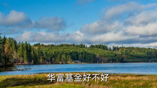 華富基金好不好