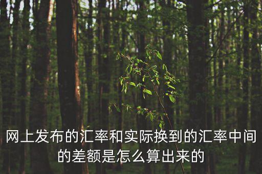 網(wǎng)上發(fā)布的匯率和實(shí)際換到的匯率中間的差額是怎么算出來的